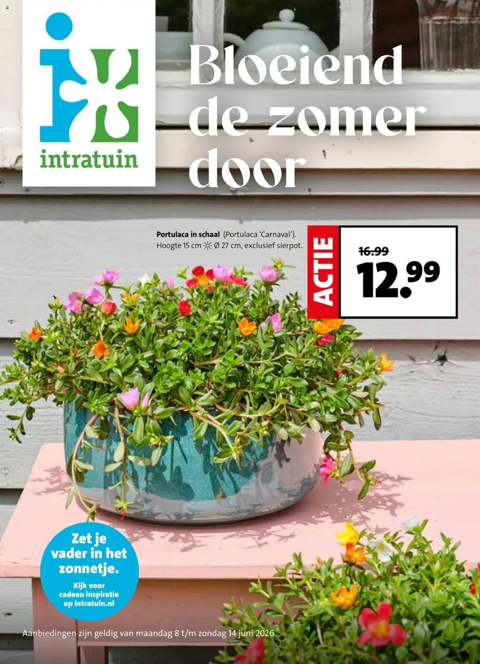 Voorbeeld van Intratuin folder van winkel Intratuin geldig vanaf 08-06-2026 - Schaal