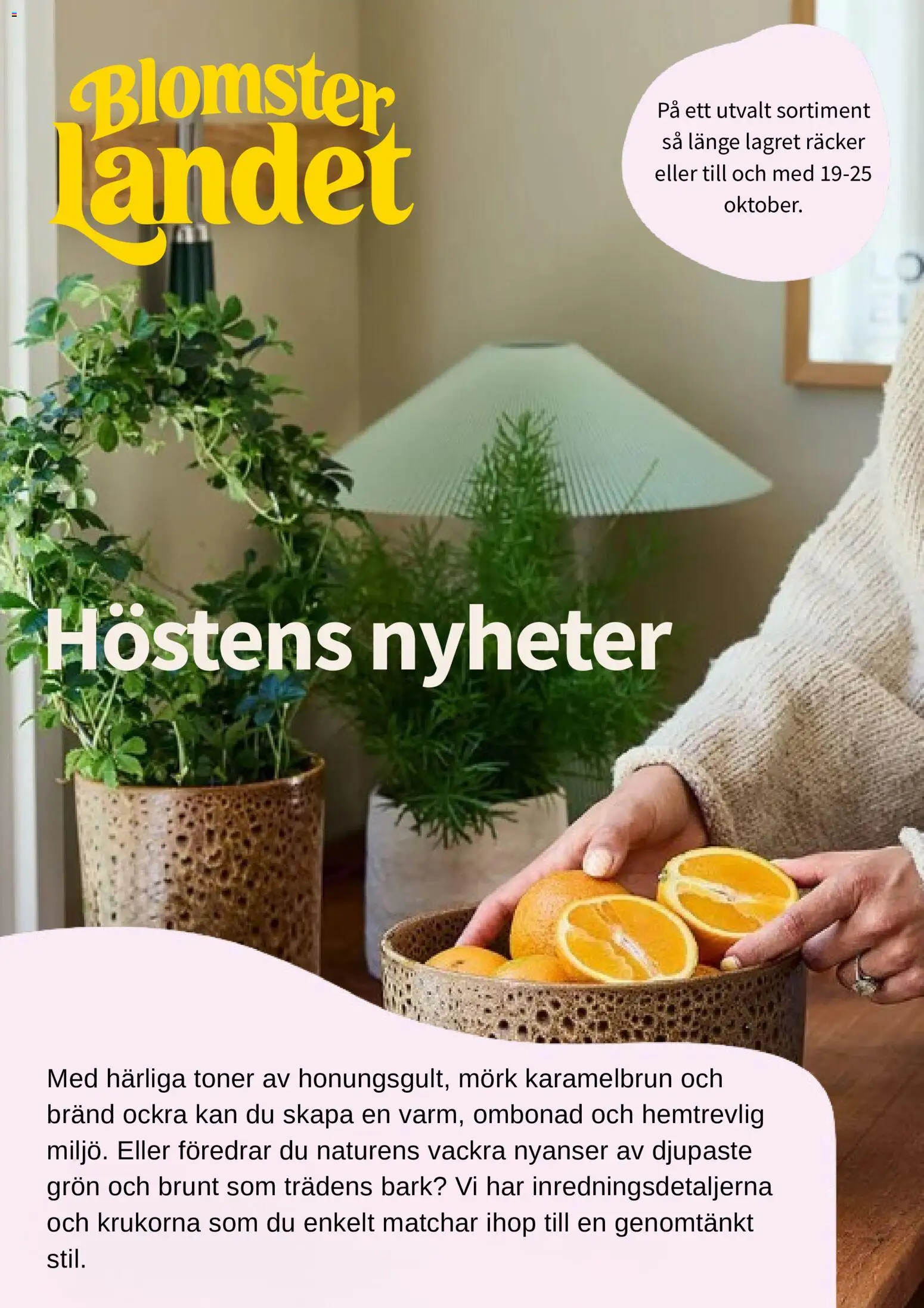 Förhandsgranska reklamblad Blomsterlandet erbjudanden från butik Blomsterlandet gäller från 19/10/2026 - Nyheter