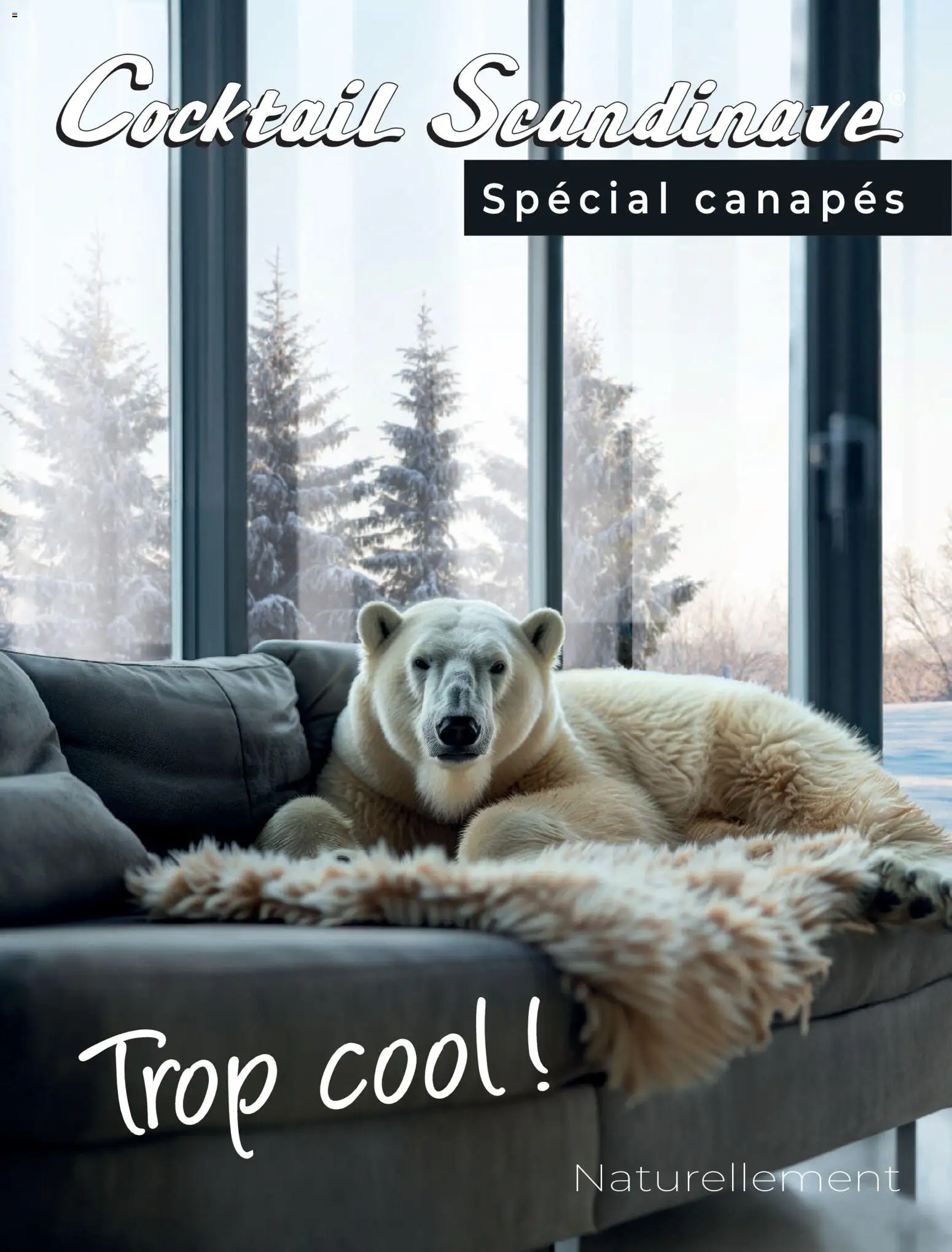 Prévisualisation de Catalogue du magasin Cocktail Scandinave formulaire valide 18/02/2026 - Canapés, Cocktail