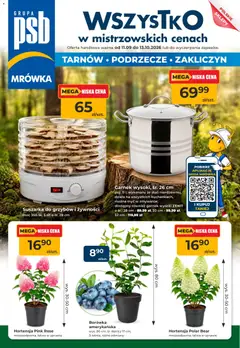 Pogląd gazetki "Mrówka gazetka - Tarnów" ze sklepu Mrówka ważnej od 11.09.2026