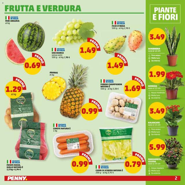 Nuovo volantino PENNY dal 13/08