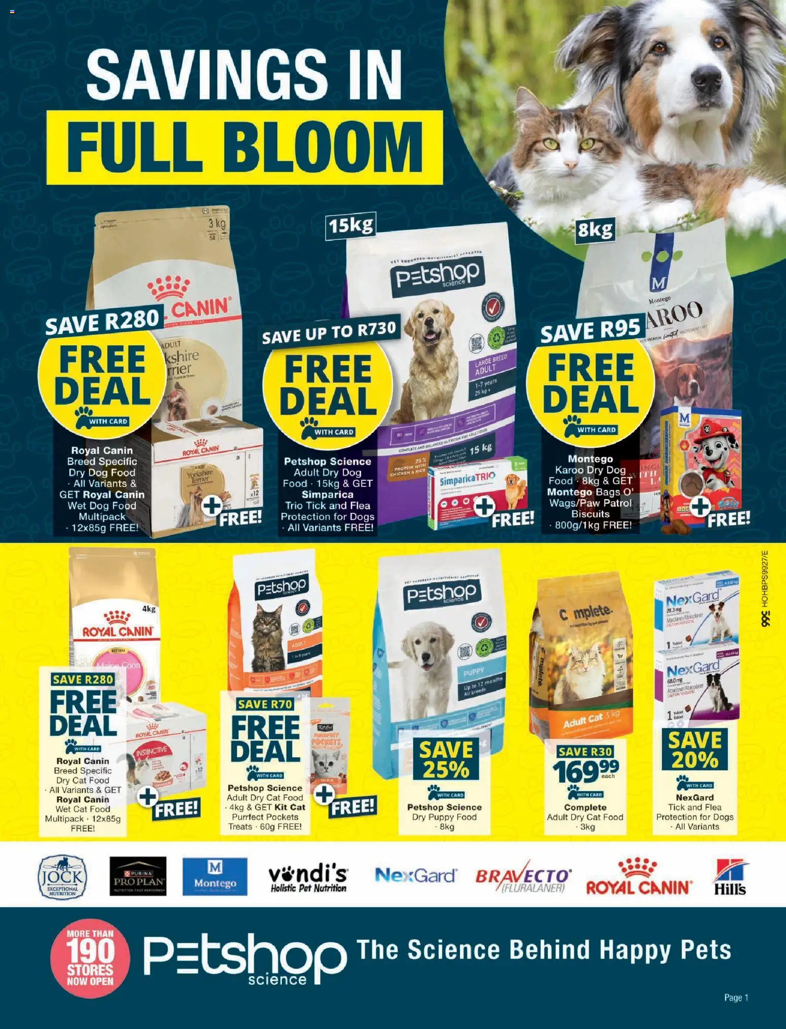 Preview of Checkers flyer valid from 19/10/2026 - Tablet, Chicken, Protein, Biscuits, Rice, Dog food, Cat food