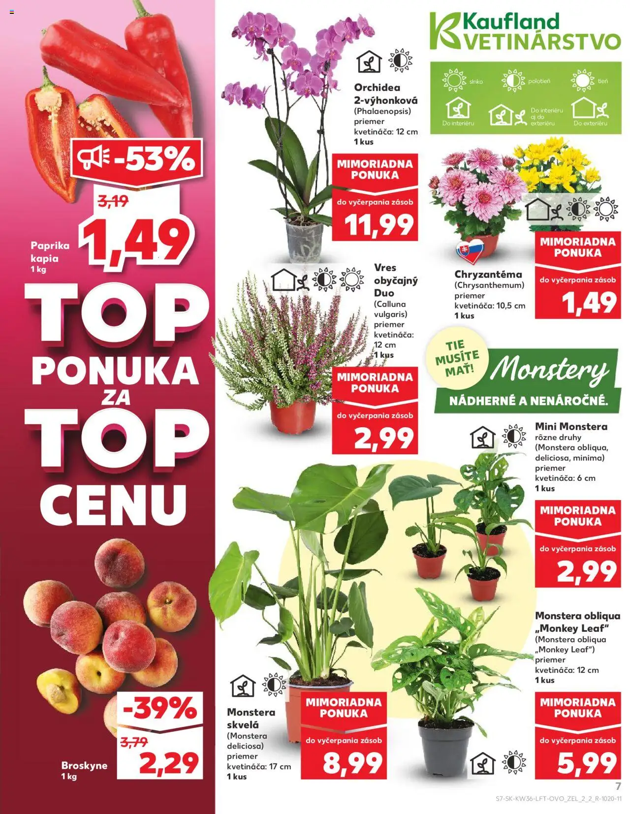 Náhľad Kaufland letáku platného od 04.09.2025 - Paprika, Orchidea, Broskyne, Kápia