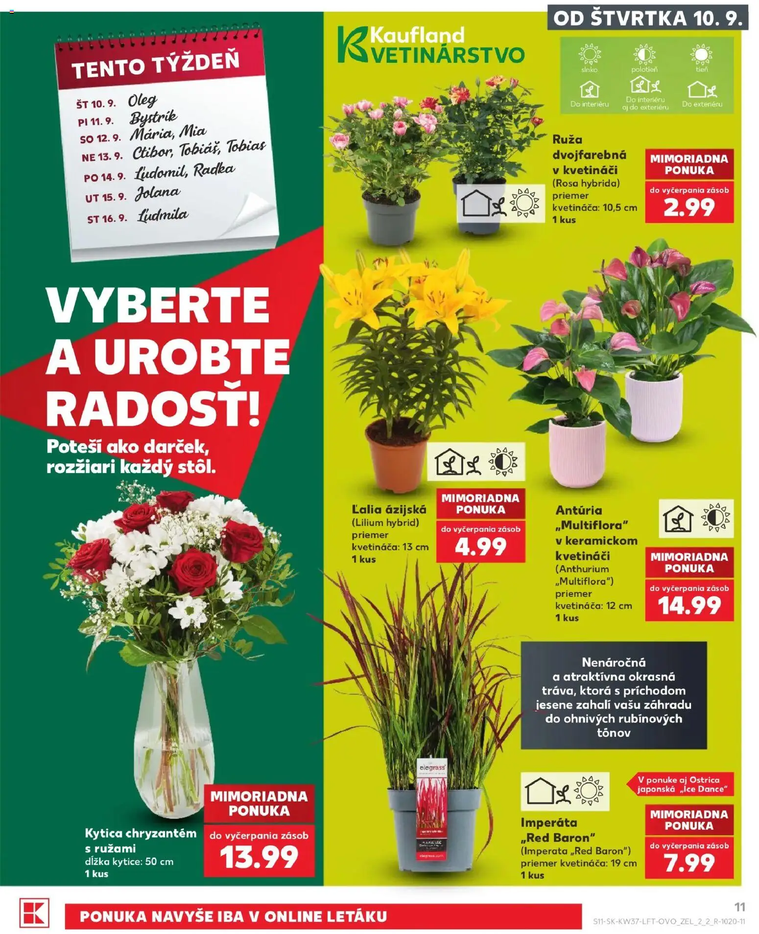 Náhľad Kaufland letáku platného od 10.09.2026