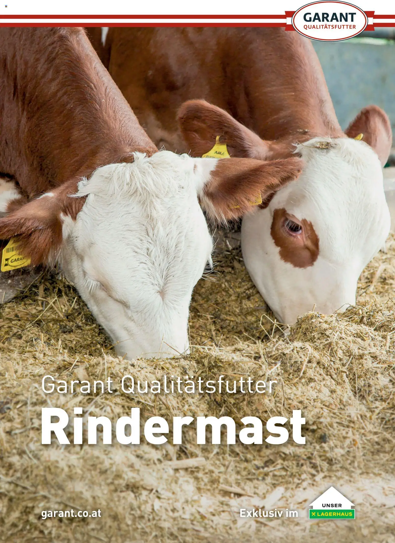 Vorschau der Angebote: Lagerhaus Lagerhaus Rindermast gültig ab 31.07.2026
