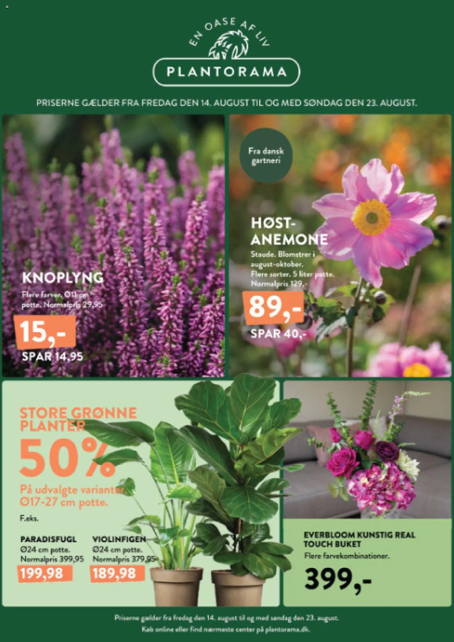 Eksempel på tilbudsavis Plantorama - Tilbudsavis fra butik Plantorama gyldig fra 14/08/2026
