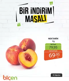 Biçen Market Biçen Market - Bir İndirim MaSalı - meyve 25.08.2026 - Broşürünün önizlemesi