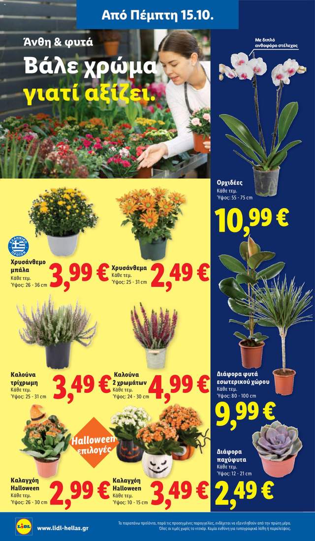 Νέο φυλλάδιο Lidl από τις 15/10