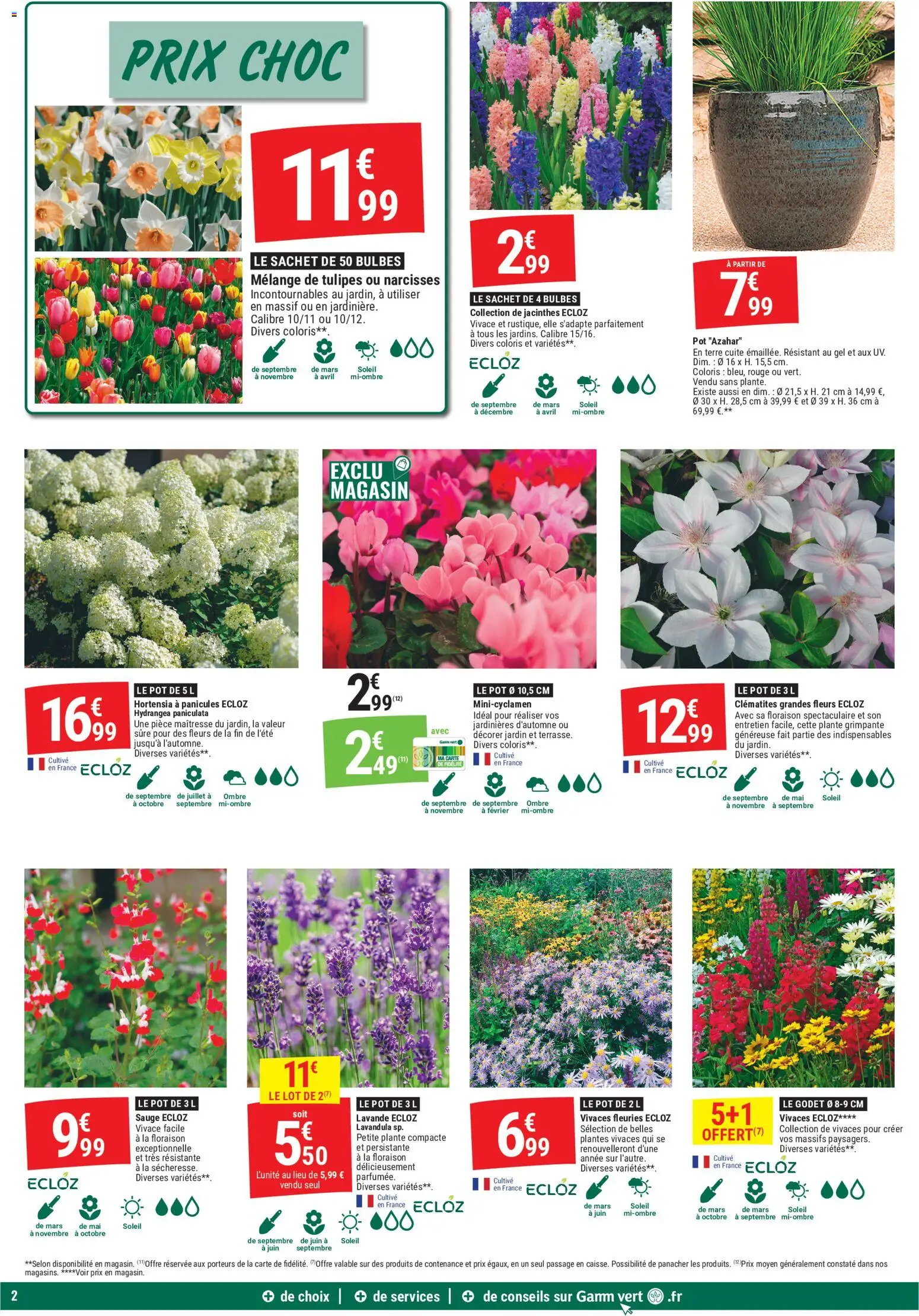 Prévisualisation de Gamm vert - Gamm vert MANIA du magasin Gamm vert formulaire valide 09/09/2026 - Fleurs, Hortensia, Plantes, Tulipes, Lavande, Clématites, Plantes vivaces