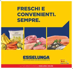 Anteprima dell'opuscolo Esselunga S volantino Freschi Verona dal negozio Esselunga S valido da 01/07/2026