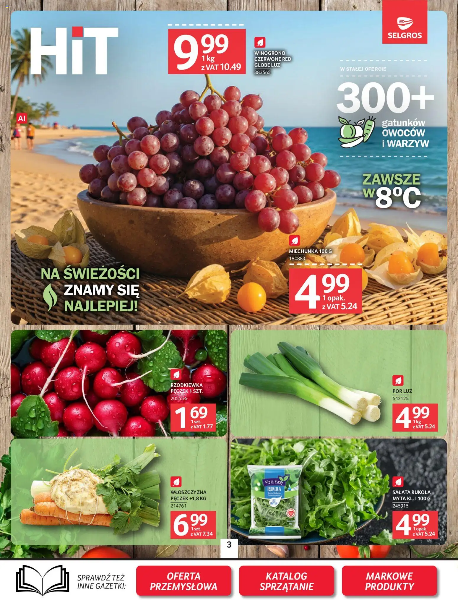 Pogląd gazetki "Selgros cash&carry gazetka" ze sklepu Selgros cash&carry ważnej od 27.08.2026