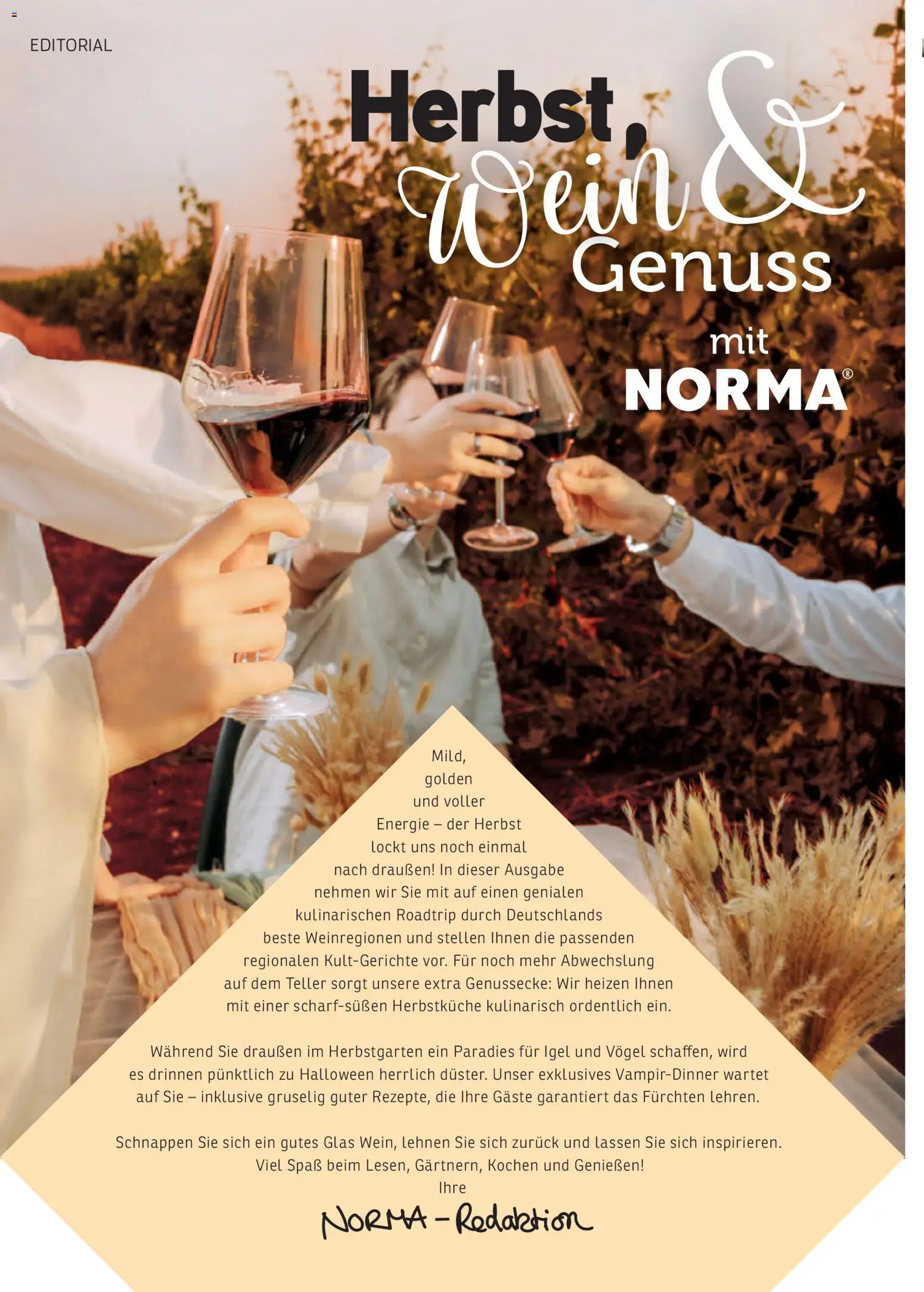 Vorschau von dem Prospekt des Geschäftes Norma, gültig ab dem 01.09.2026