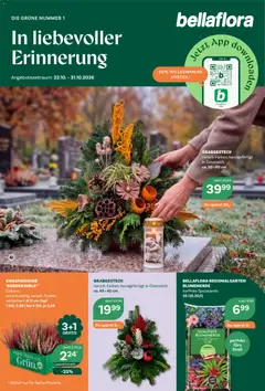 Vorschau der Angebote: bellaflora bellaflora Flugblatt gültig ab 22.10.2026