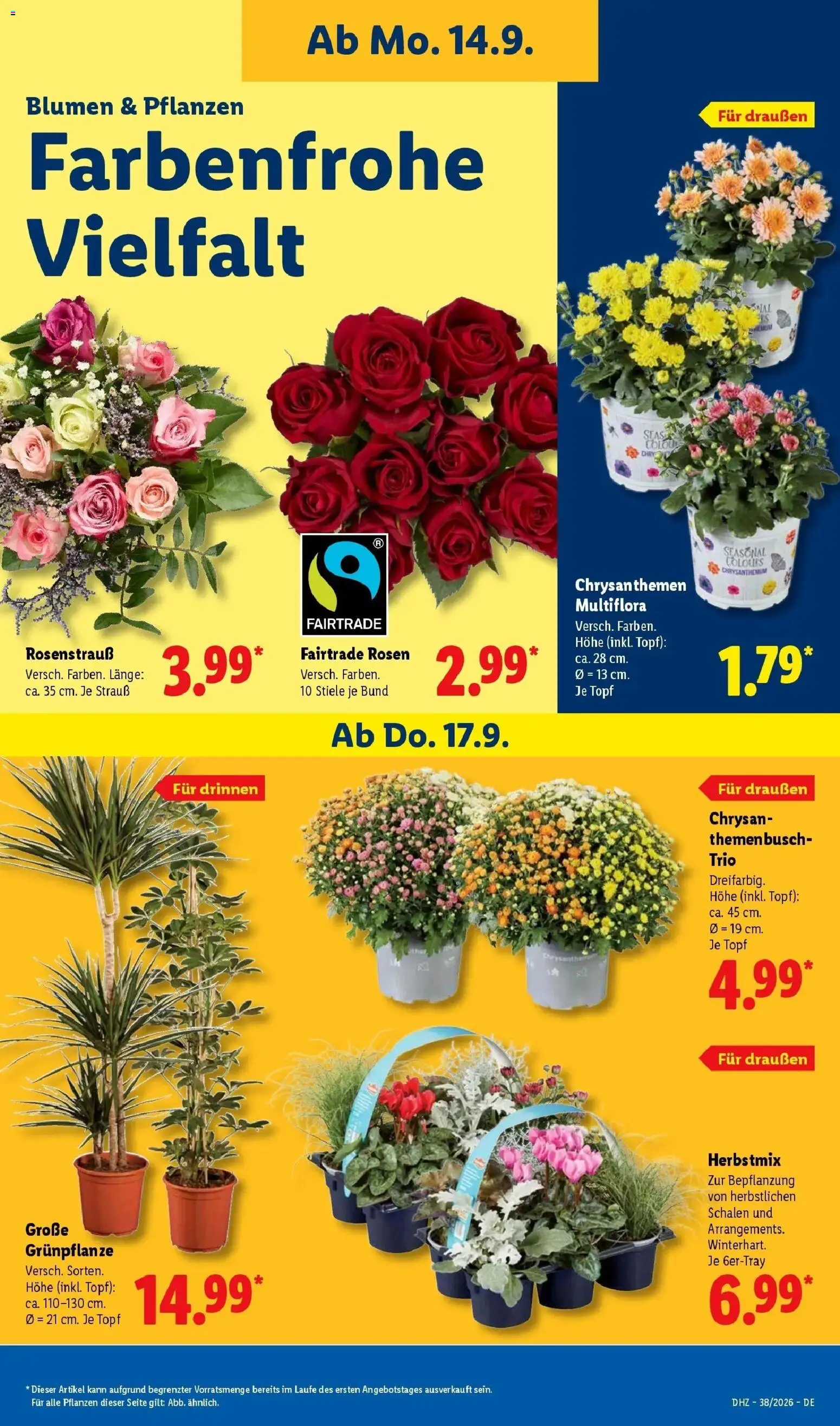 Vorschau von dem Prospekt des Geschäftes Lidl, gültig ab dem 14.09.2026 - Blumen