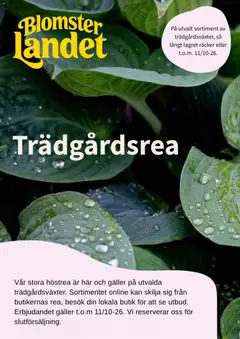 Förhandsgranska reklamblad Blomsterlandet erbjudanden från butik Blomsterlandet gäller från 22/09/2026
