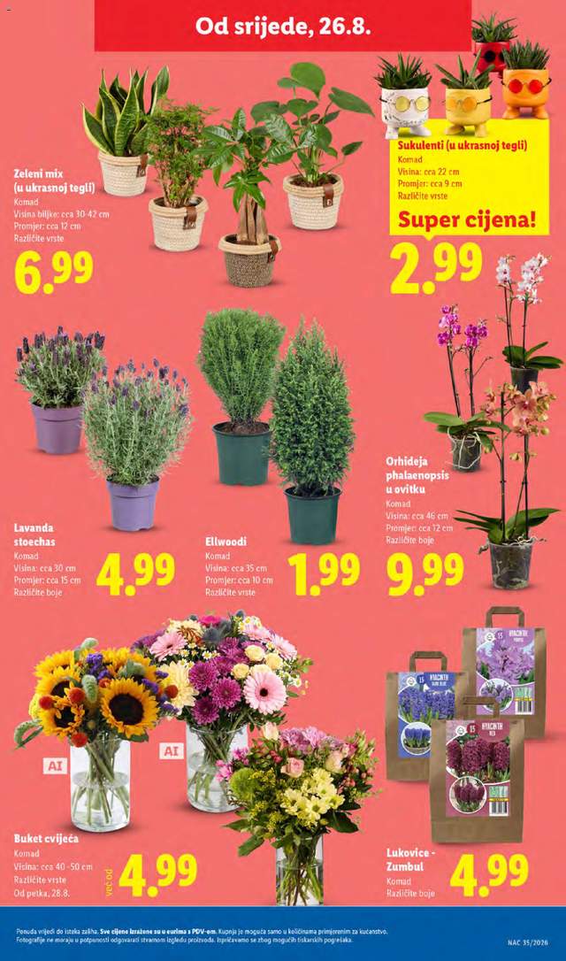 Novi Lidl katalog od 24.08.