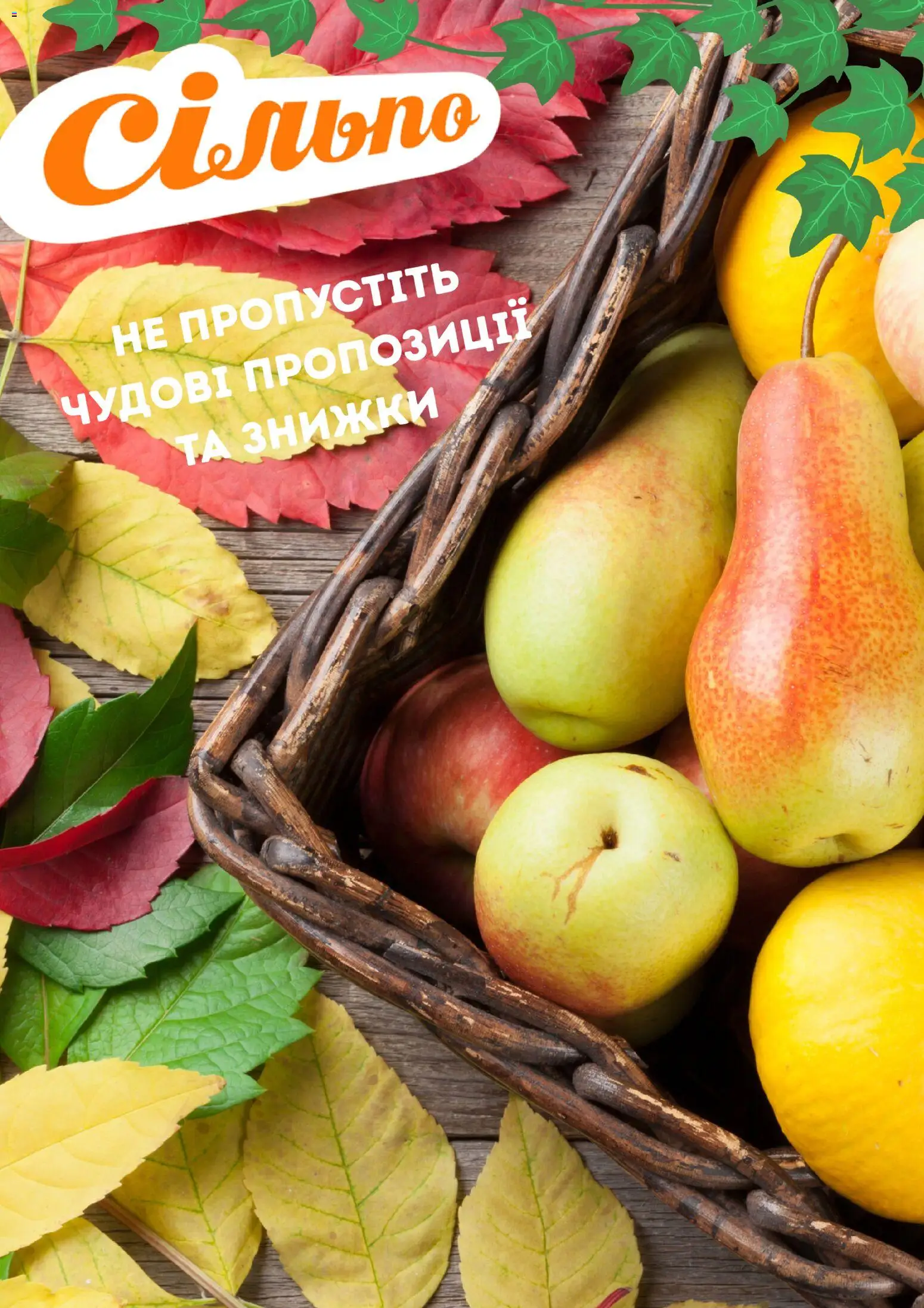 Попередній перегляд каталогу Сільпо - каталог з магазину Сільпо дійсний від 01.10.2026