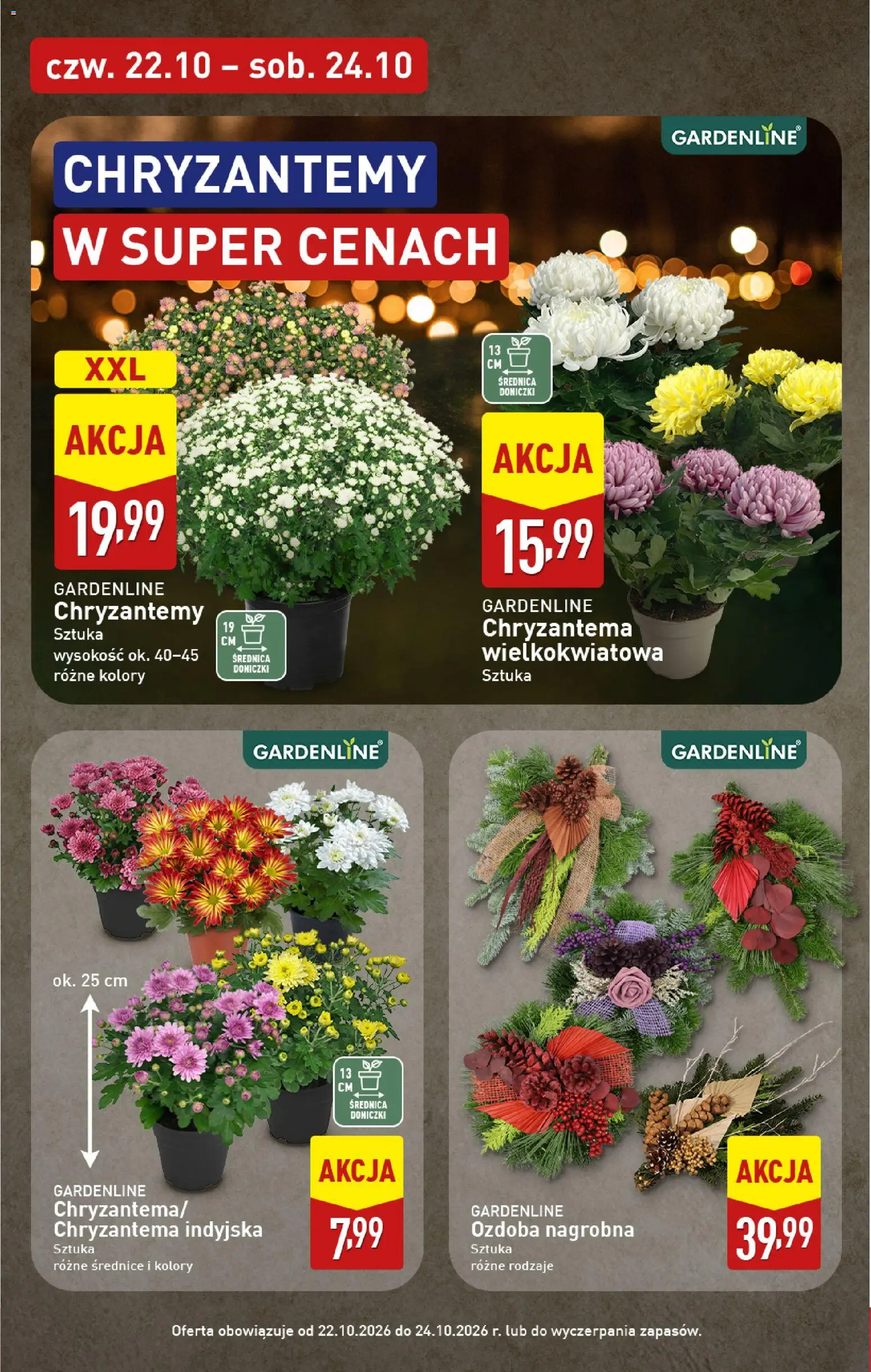 Pogląd gazetki "Aldi gazetka - Znicze i stroiki" ze sklepu Aldi ważnej od 19.10.2026 - Chryzantemy, Doniczki