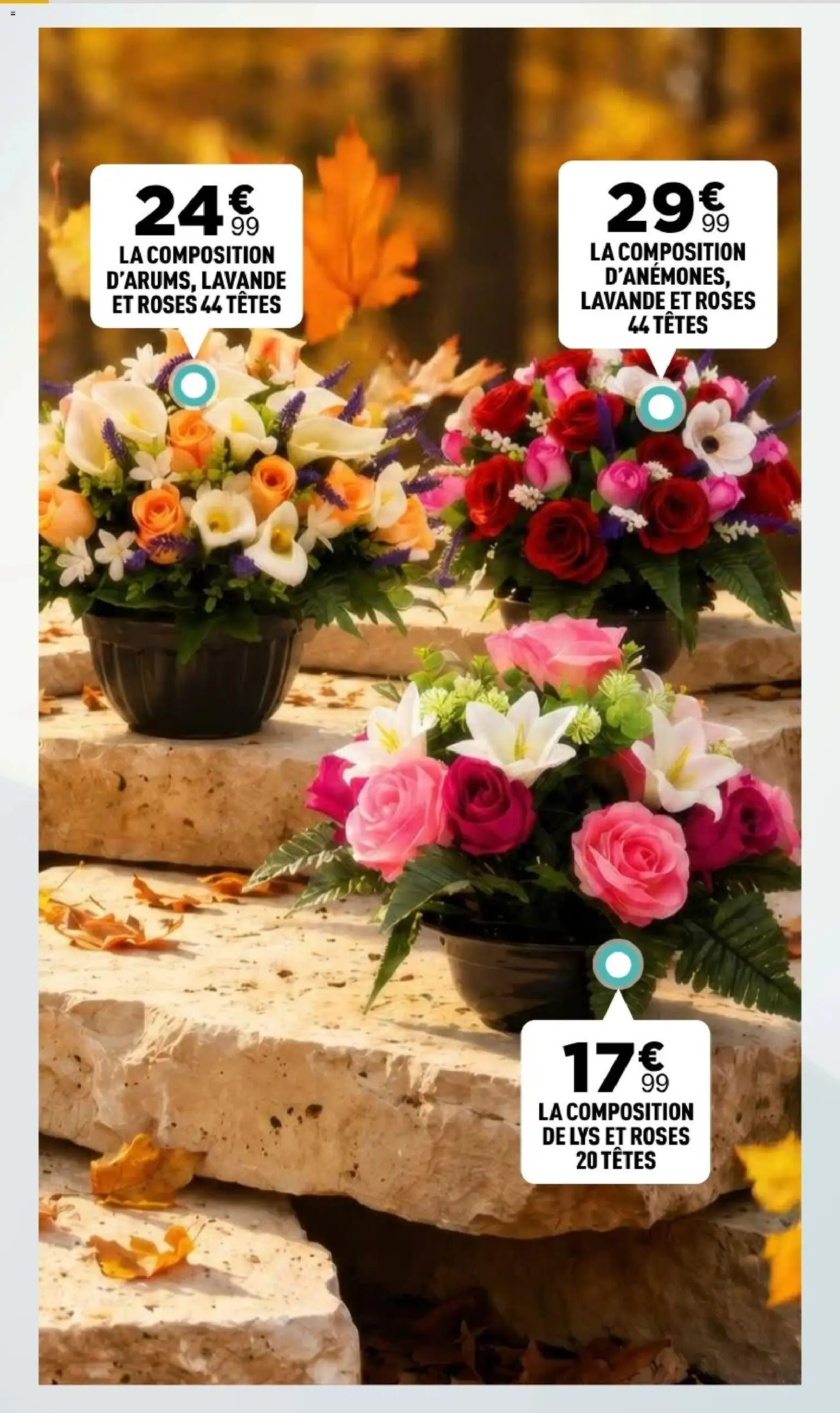 Prévisualisation de Centrakor catalogue du magasin Centrakor formulaire valide 19/10/2026 - Lavande