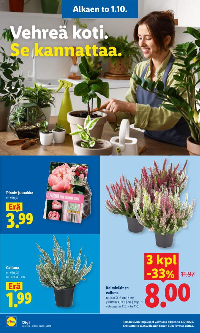 Uusi Lidl tarjouslehti alkaen 01/10