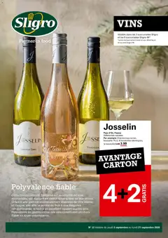 Voorbeeld van Sligro Publicité Vins van winkel Sligro geldig vanaf 03/09/2026