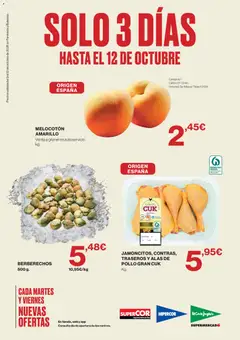 Vista previa del folleto de la tienda El Corte Inglés válido desde el 09/10/2026 