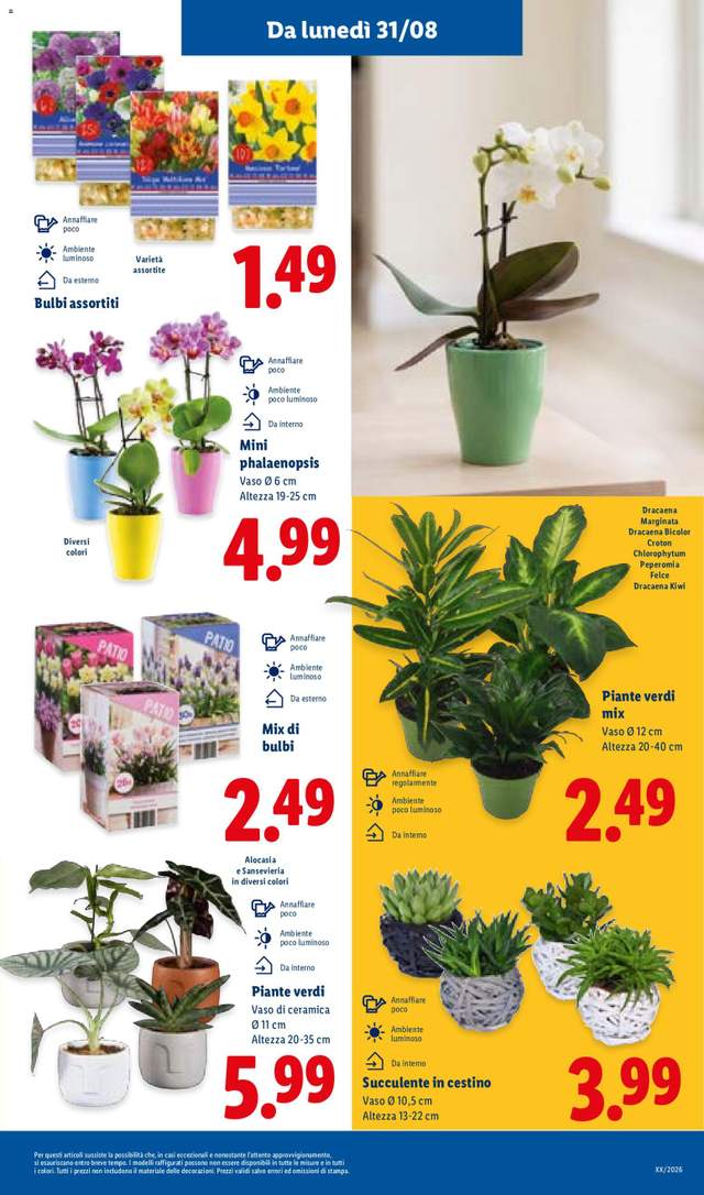 Nuovo volantino Lidl dal 27/08