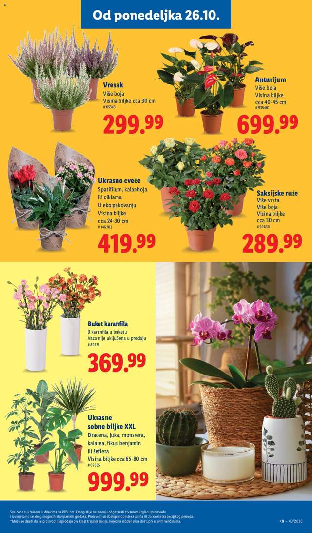 Novi Lidl katalog od 22.10.