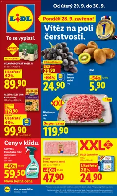 Náhled nabídky: Lidl Lidl leták platný od 29.09.2026