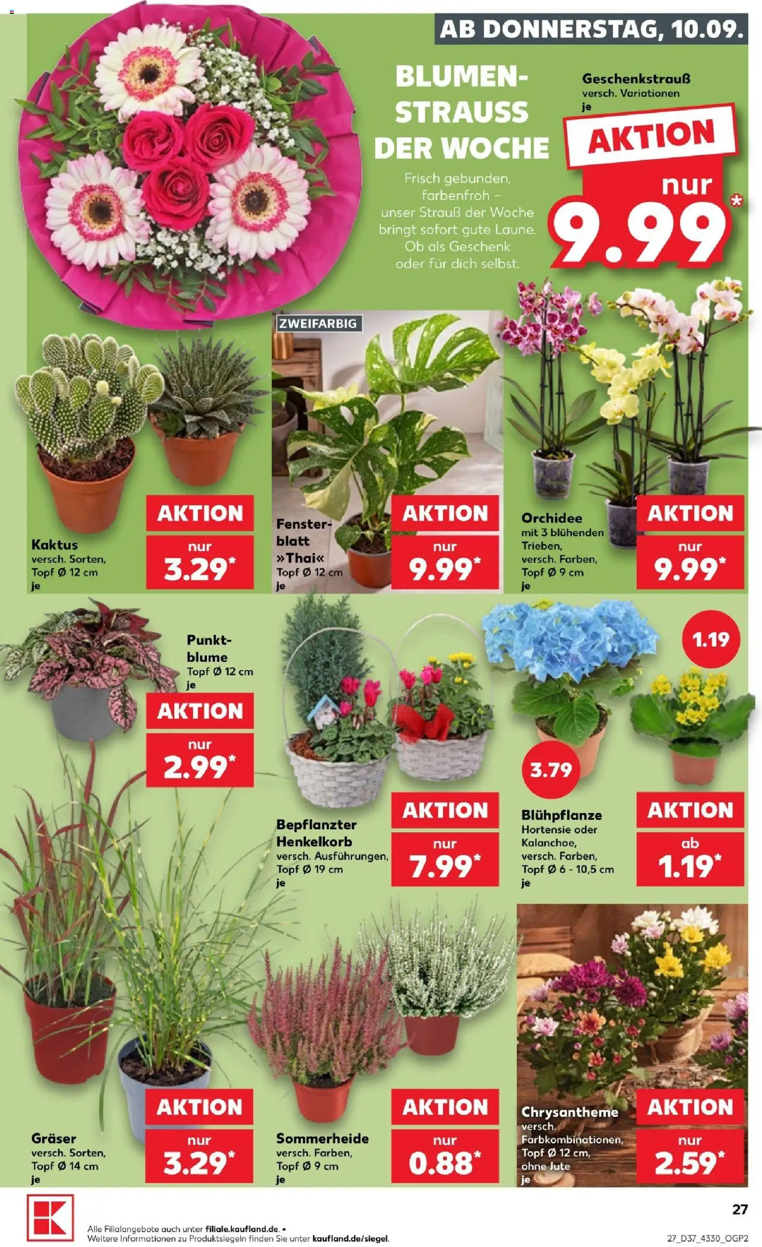Vorschau von dem Prospekt des Geschäftes Kaufland, gültig ab dem 10.09.2026 - Blumen, Orchidee, Hortensie