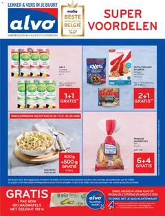 Prévisualisation de Alvo Folder du magasin Alvo formulaire valide 26/08/2026