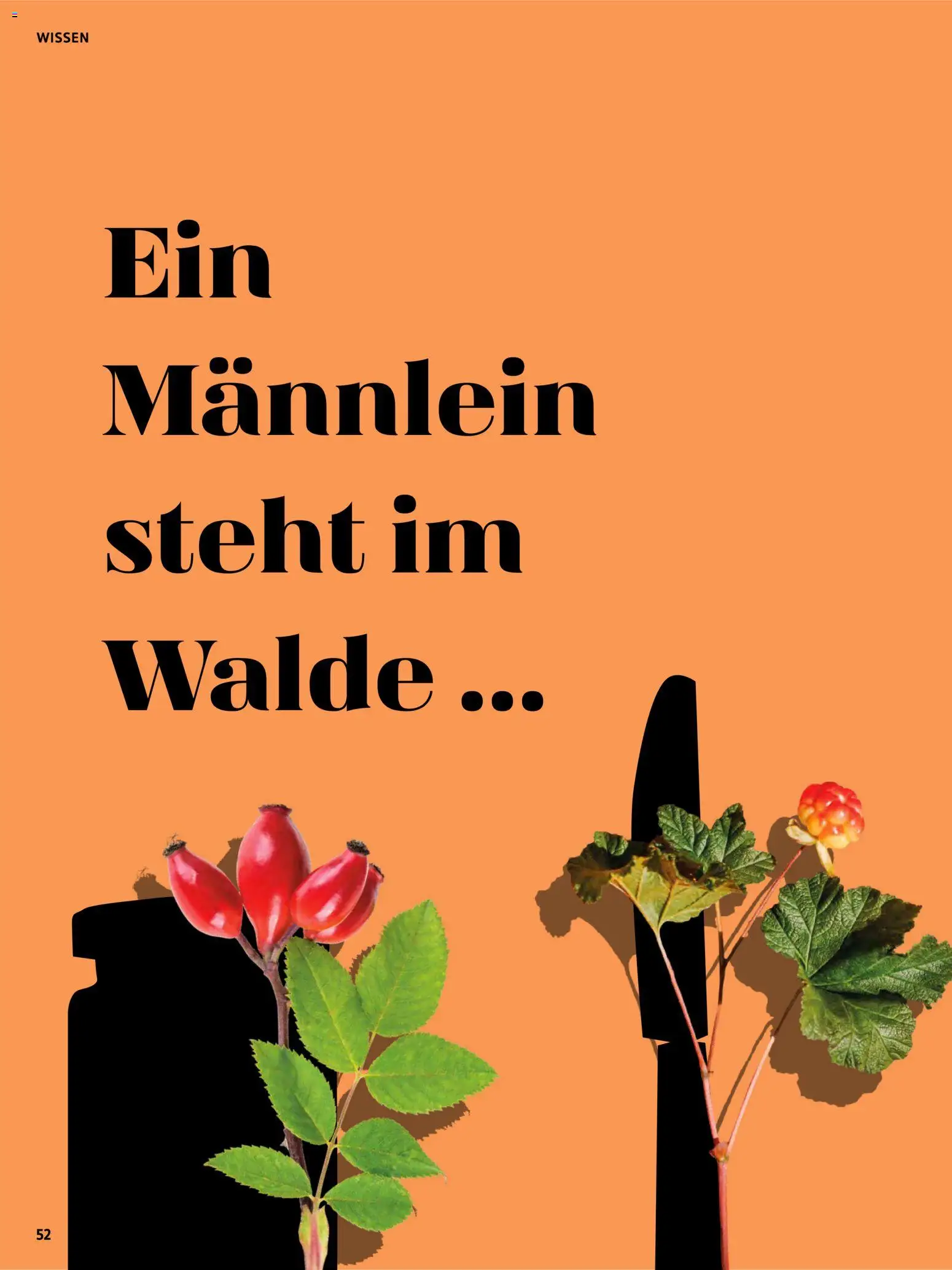 Vorschau von dem Prospekt des Geschäftes BioMarkt, gültig ab dem 17.07.2026