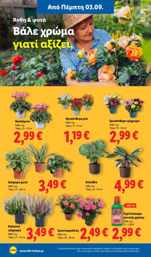 Νέο φυλλάδιο Lidl από τις 03/09