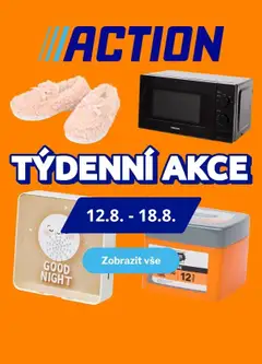 Náhled letáku Action Nabídka produktů od 12.08.2026