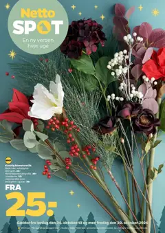 Eksempel på tilbudsavis Netto - Tilbudsavis - Nonfood fra butik Netto gyldig fra 24/10/2026