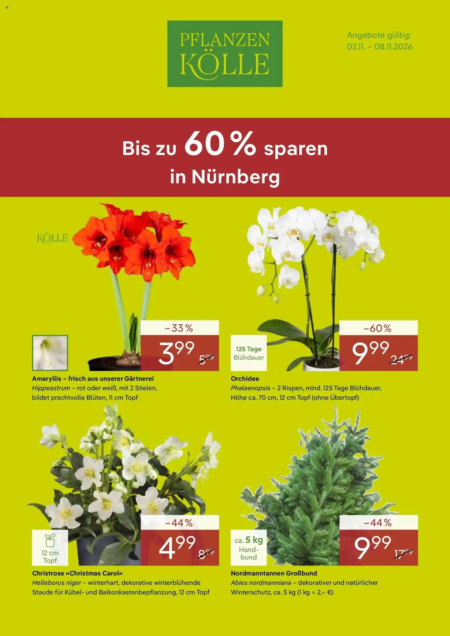 Neue Pflanzen-Kölle Prospekt (vom 02.11.2026 - 08.11.2026)