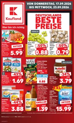 Náhled nabídky: Kaufland Německo Kaufland Německo leták platný od 17.09.2026