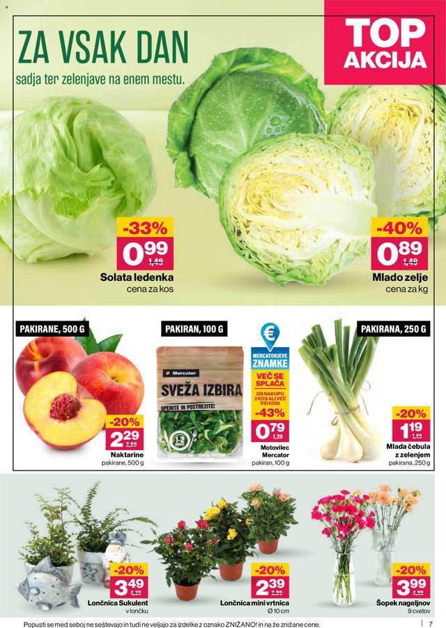 Novi Mercator katalog od 21.05.