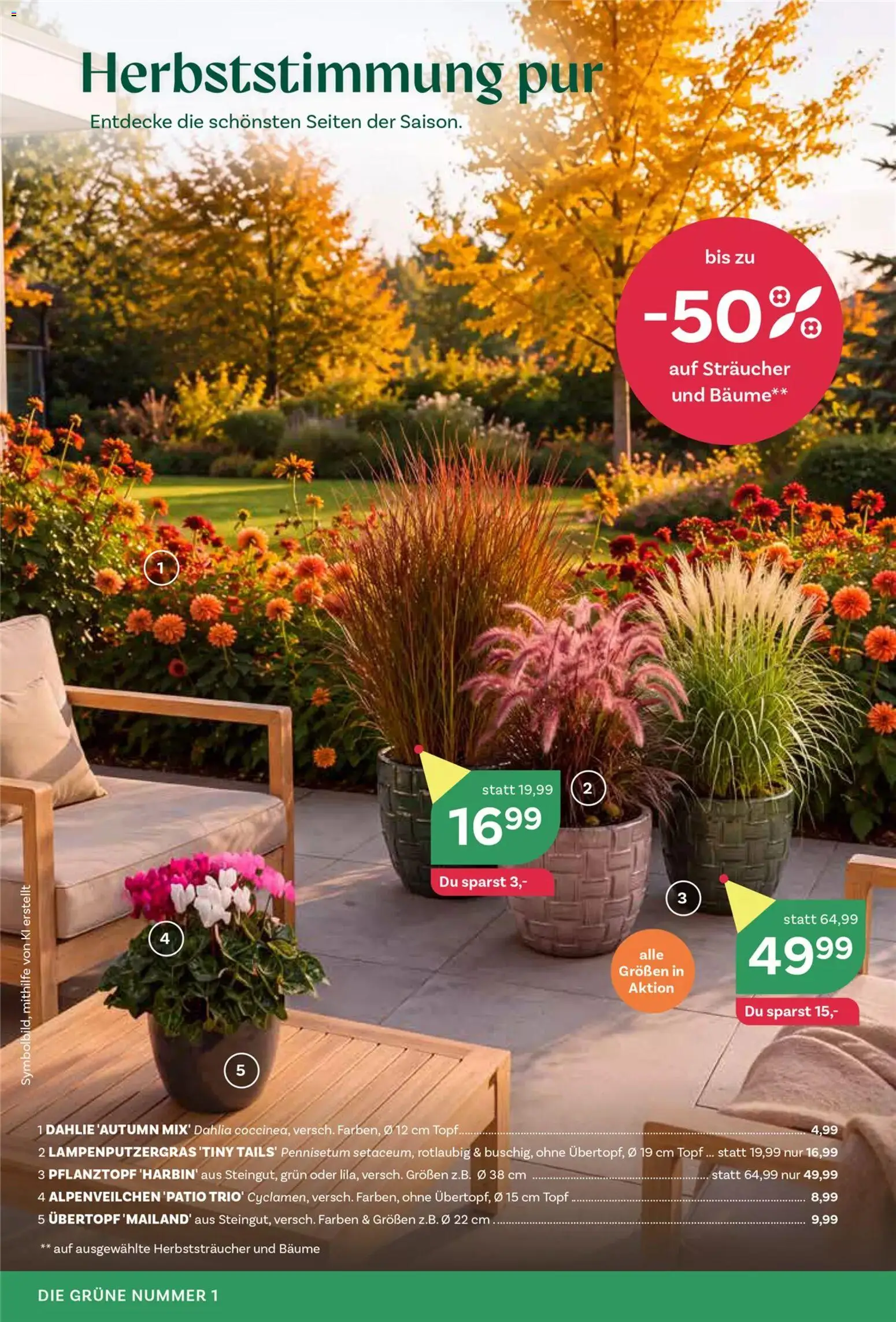 Vorschau der Angebote: bellaflora bellaflora Flugblatt gültig ab 10.09.2026