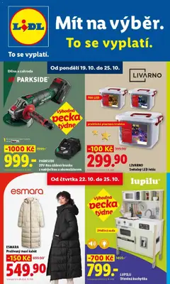 Náhled nabídky: Lidl Lidl aktuální leták platný od 19.10.2026