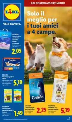 Anteprima dell'opuscolo Lidl volantino Amici dal negozio Lidl valido da 13/08/2026