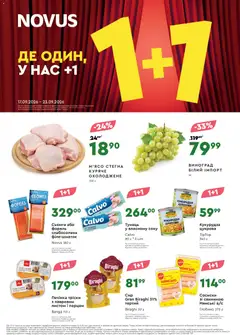 Попередній перегляд каталогу Novus Поточний каталог з магазину Novus дійсний від 17.09.2026