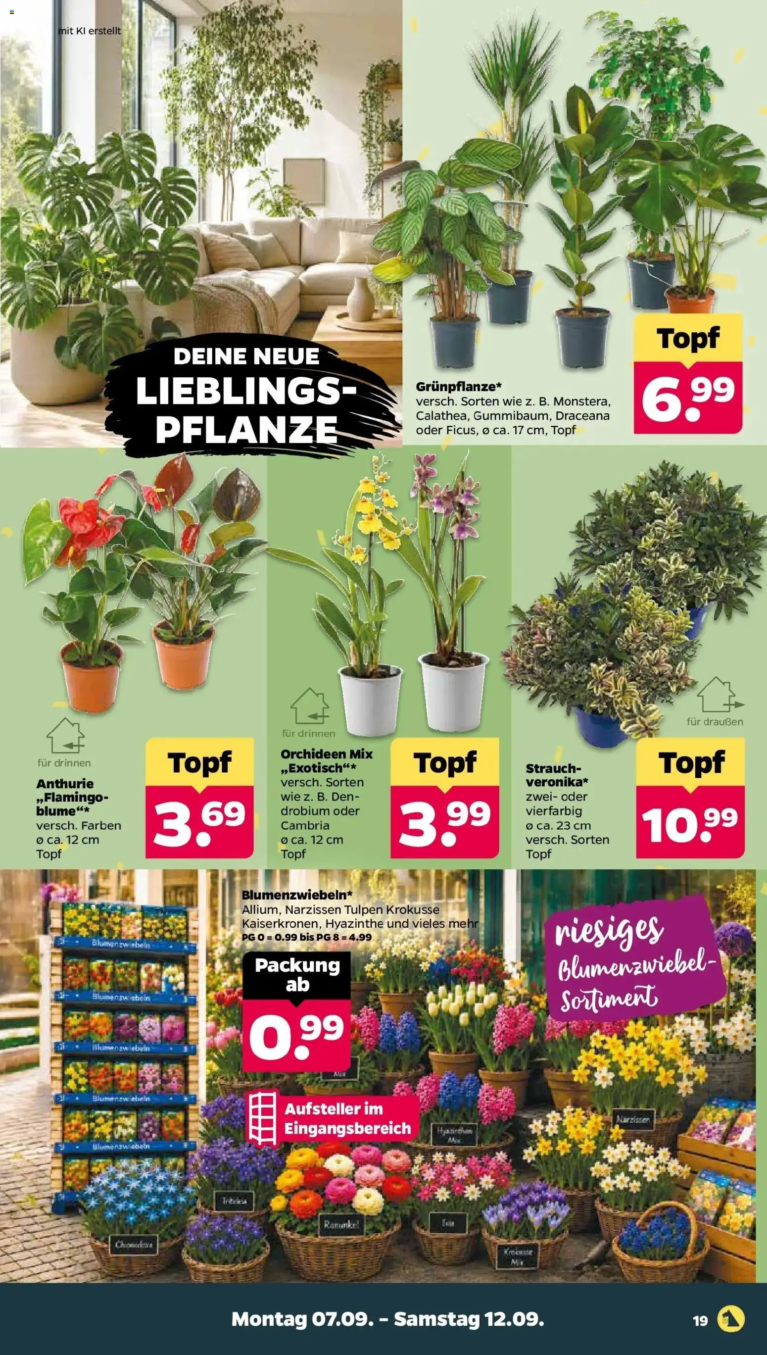 Vorschau von dem Prospekt des Geschäftes Netto, gültig ab dem 07.09.2026