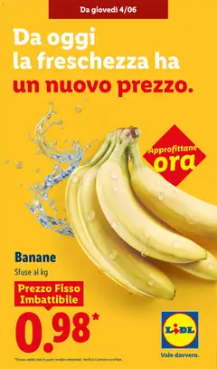 Anteprima dell'opuscolo Lidl volantino Freschezza imbattibile dal negozio Lidl valido da 04/06/2026