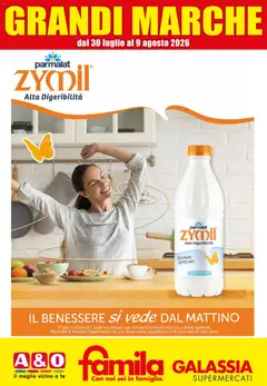 Anteprima dell'opuscolo Galassia volantino Grandi Marche dal negozio Galassia valido da 30/07/2026