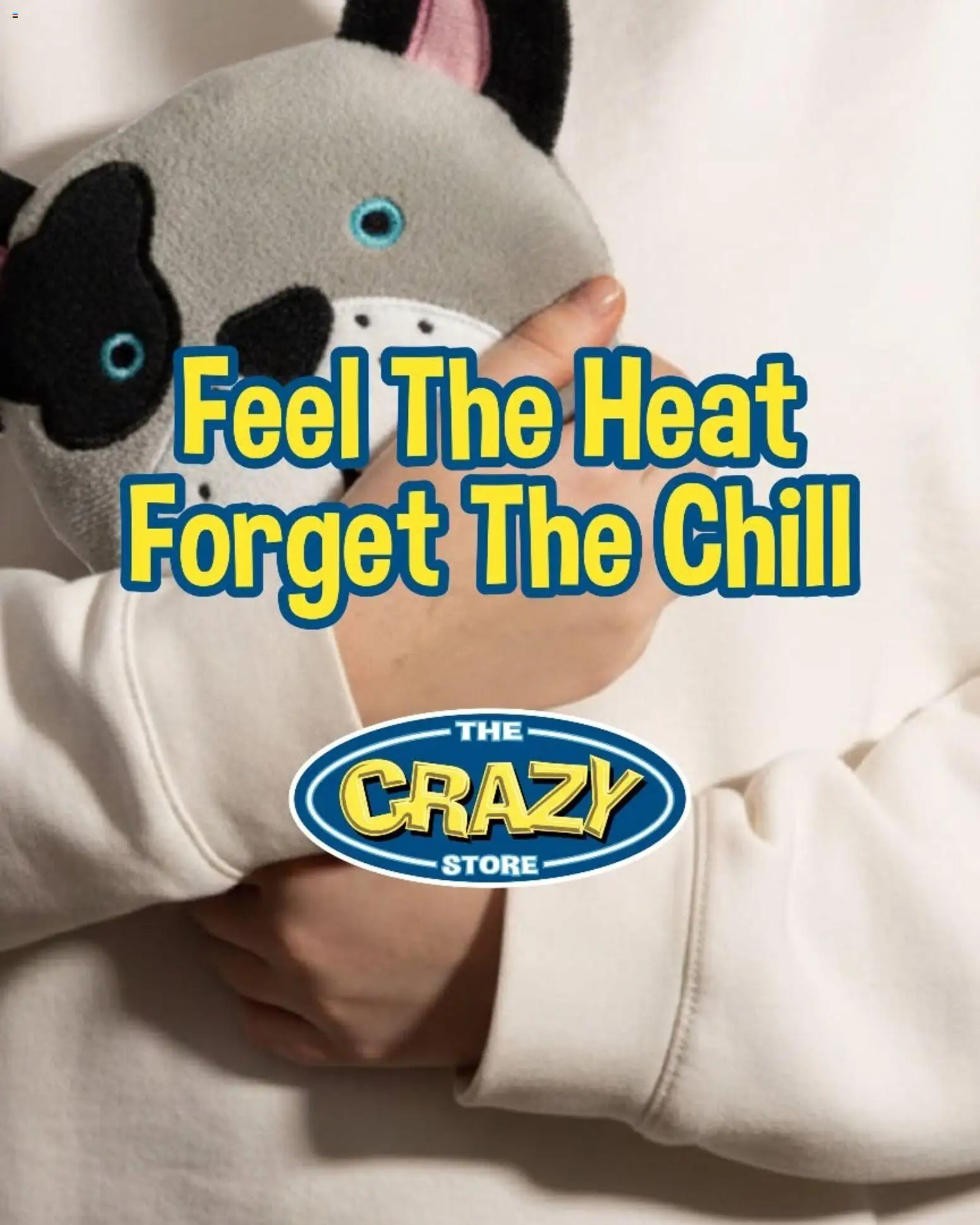 Preview of Crazy Store flyer valid from 28/08/2026