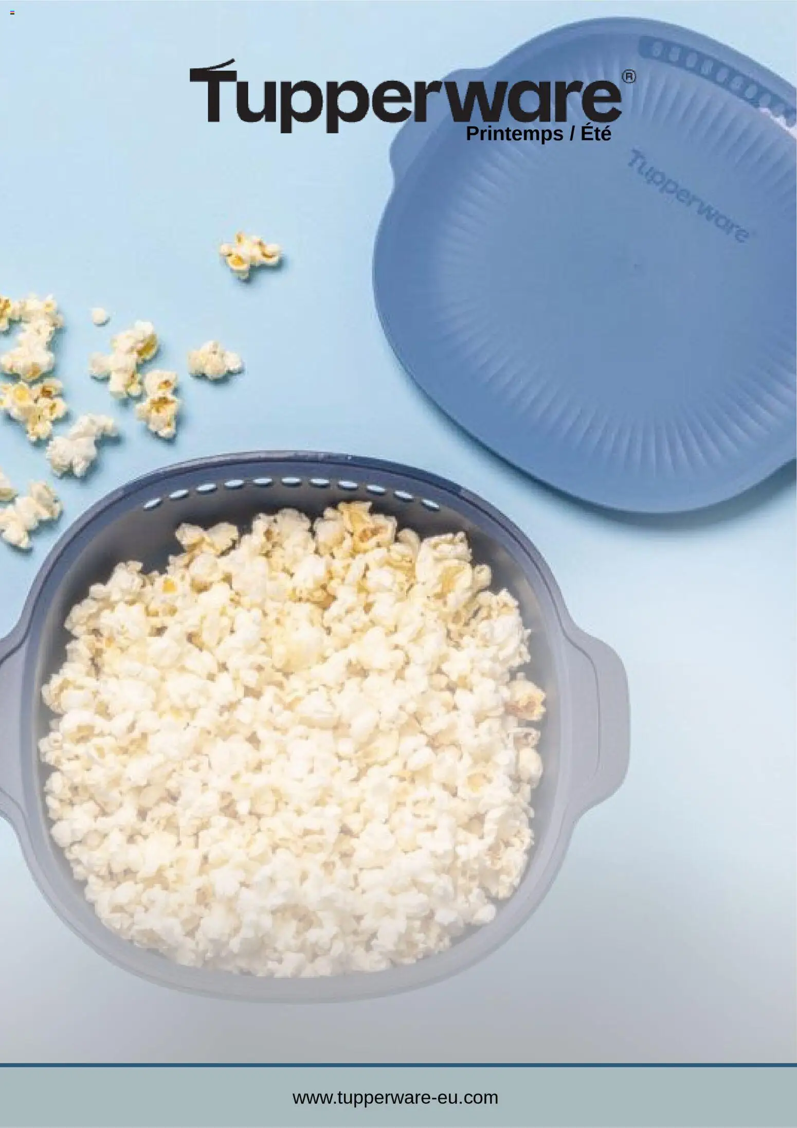 Prévisualisation de Catalogue Tupperware Printemps du magasin Tupperware formulaire valide 03/03/2026