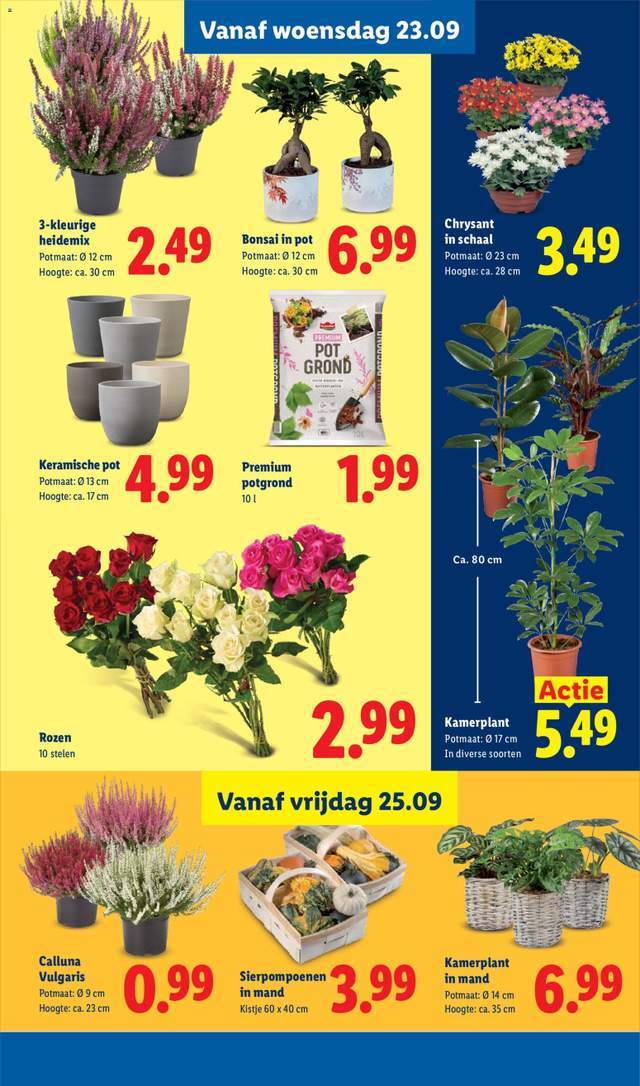 Nieuwe Lidl folder vanaf 21-09