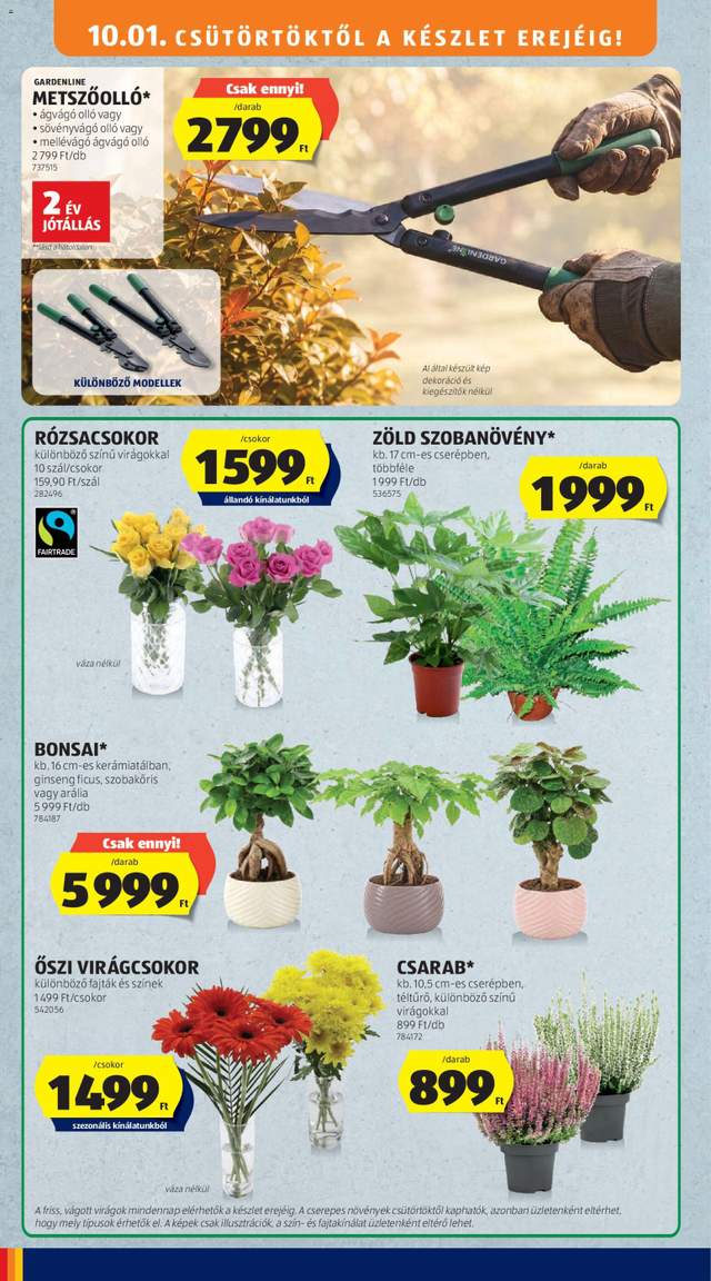 Új Aldi akciós újság 10.01.