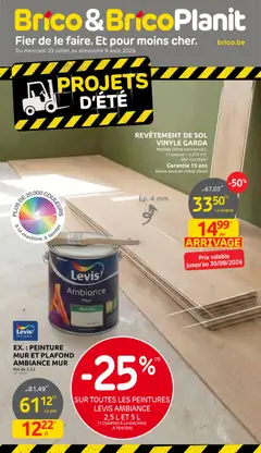 Prévisualisation de Brico Publicité du magasin Brico formulaire valide 29/07/2026
